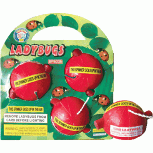 Ladybugs