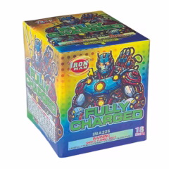 fully charged 200 gram cake topgun firework